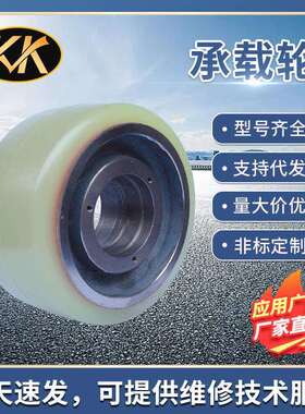 现代HBR15/18.大宇BR15S/18叉车承载轮254*100-50，配6210轴承