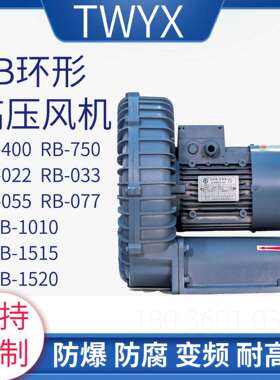 工厂直销价RB-7500.75KW涡轮高压风机抽真空吸附风机增压真空泵