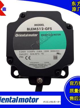BLEM512-GFSBLEM46-GFSBLEM23-GFS进口东方无刷调速电机120W