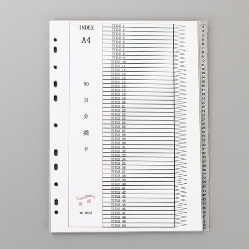 分页纸50页隔页纸50页索引纸50页分类卡11孔分类纸50快劳分类标签