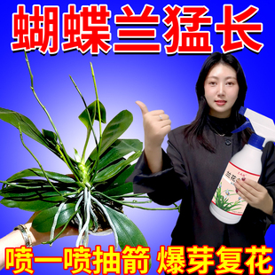 蝴蝶兰多箭素专用营养液催花剑催芽促花剑爆根王促开花防黄叶肥料