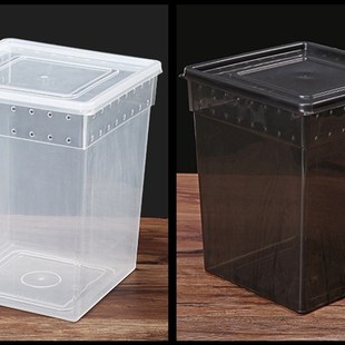 专业爬虫宠物睫角守宫盖勾亚魔物守宫树栖爬宠饲养盒高箱