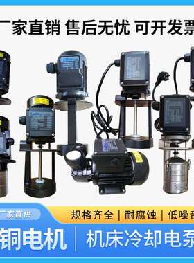 线切割水泵洛凯水泵中走丝水泵Rocoi中走丝高压水泵LDPB215TP