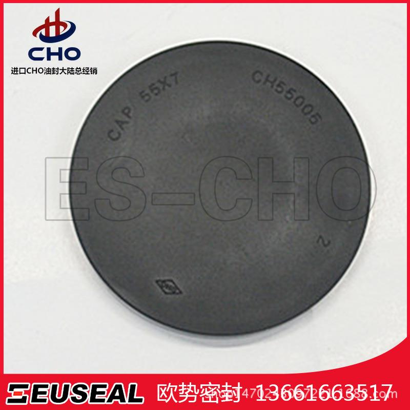 CAP0*190*12NBR进口油封盖、端盖、骨架油封CHO油封