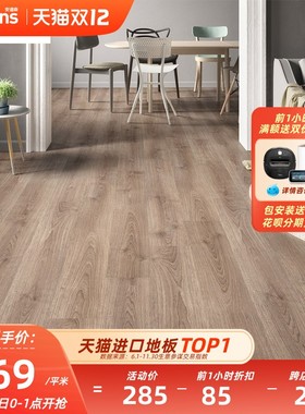 ARTENS德国原装进口强化复合地板家用复合木地板防潮10MM灰色地板