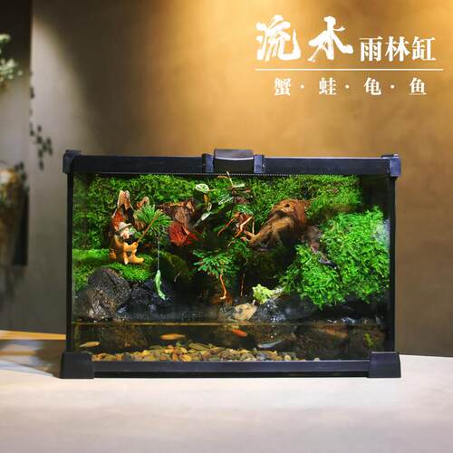 创意苔藓微景观造景家用饲养缸雨林生态鱼缸鱼龟螃蟹角蛙混养缸