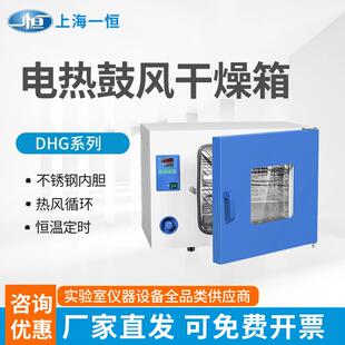 9030A鼓风恒温干燥箱实验室烘箱工业电热恒温干燥箱 上海DHG