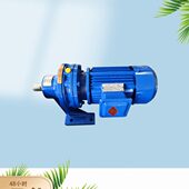 WD2 0轴B萃X电机接WB 减速器WX盘2卧式 0WD带 双摆线针轮减速机华