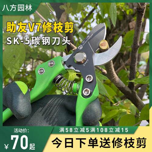 台湾助友V7修枝剪果树剪枝剪刀园艺修剪工具园林省力粗枝剪花枝剪