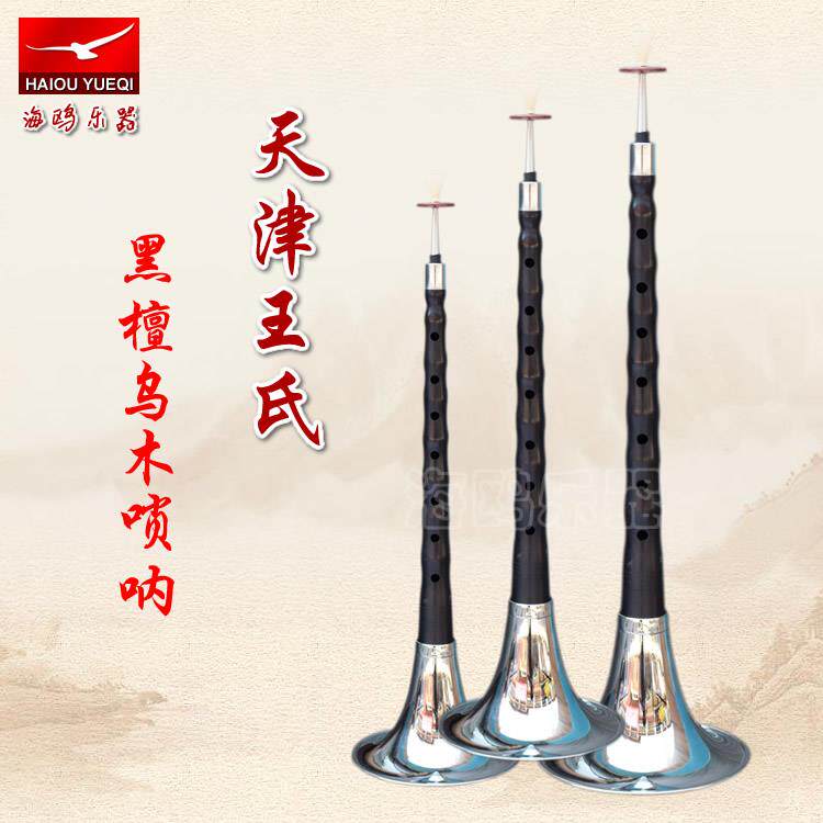 正品天津王氏唢呐乐器D调d调全套黑檀乌木唢呐唢呐配件专业唢呐