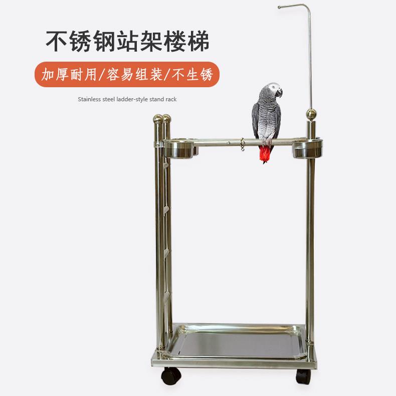 不锈钢鹦鹉站架楼梯鸟用站杆梯子大型鹦鹉鸟站架观赏架鸟类专用