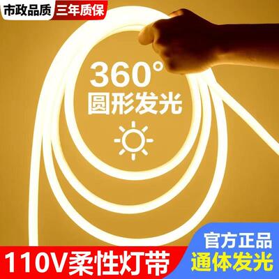 led霓虹柔性圆形美国台湾360度110V灯带超亮户外防水广告工程亮化