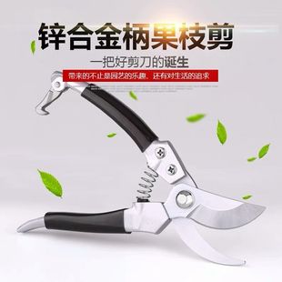 金力狮果树剪枝剪修支剪园艺剪园林省力花枝剪家用强力粗枝剪子