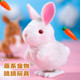 儿童会走会动 上链毛绒发条兔子网D红1一3岁宝宝男孩女孩跳跳玩