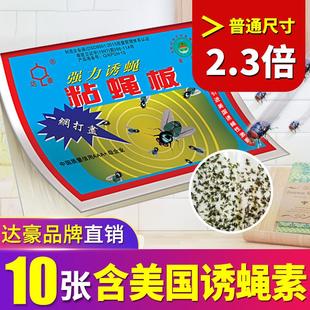 达豪苍蝇贴大号强力粘蝇纸板胶家用商用沾灭蚊蝇杀手捕捉器一扫光