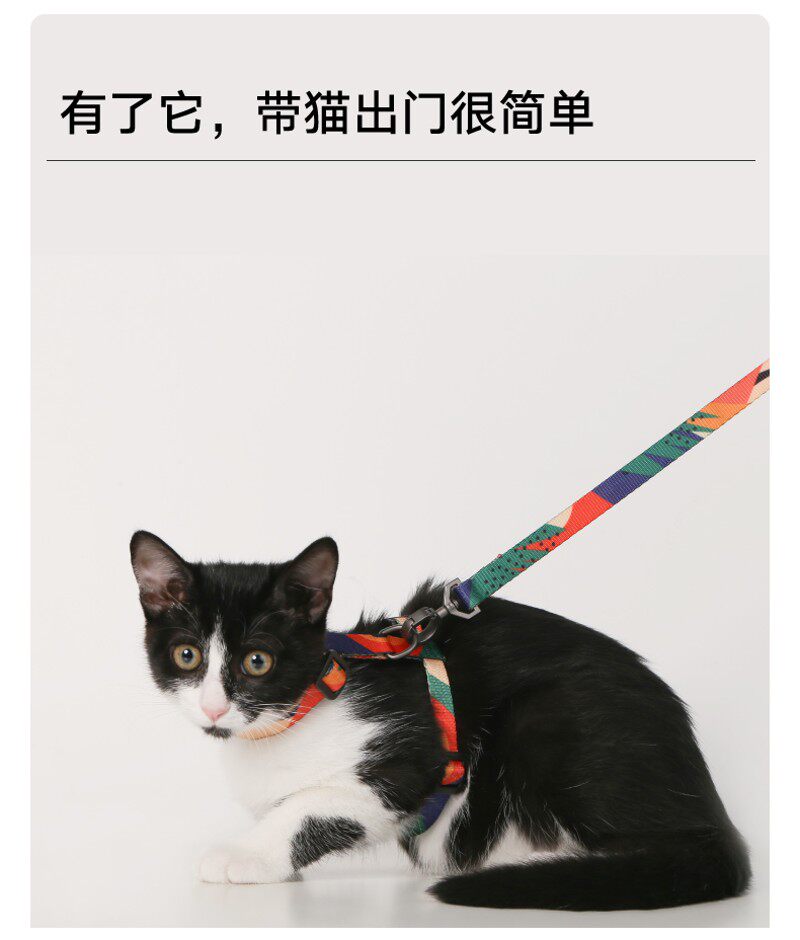 Pidan牵引绳皮蛋猫绳H型胸背带溜猫绳子猫咪专用防挣脱链宠物用品
