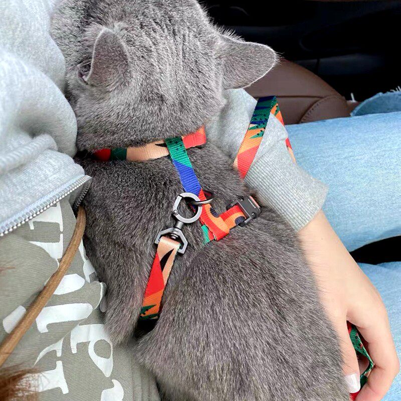 pidan猫咪牵引绳猫牵引绳猫咪H型背带遛猫绳防挣脱猫链子宠物用品