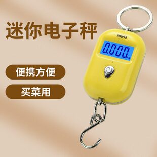 迷你电子秤手提称行李食物高精度便携式家用小型精准商用弹簧秤克