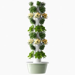 空间树水培塔智能蔬菜种植机家庭垂直无土栽培设备阳台种菜管道