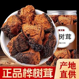 桦树茸俄罗斯进口旗舰店长白山野生华树茸白桦茸的功效和作用黑金