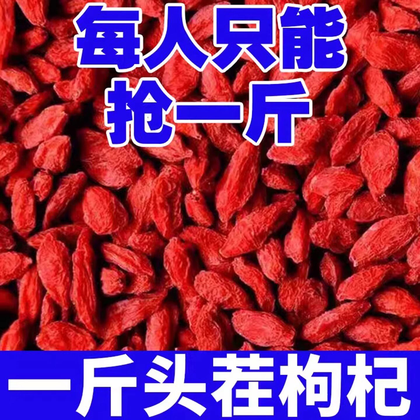 特级古树当季新货宁夏头茬大颗粒500g红枸杞无硫菊花枸杞决明子茶