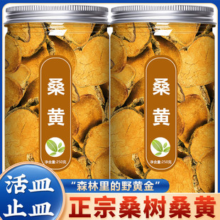 桑黄中药材官方旗舰店西藏野生桑树灵芝桑黄茶泡水喝的功效与作用