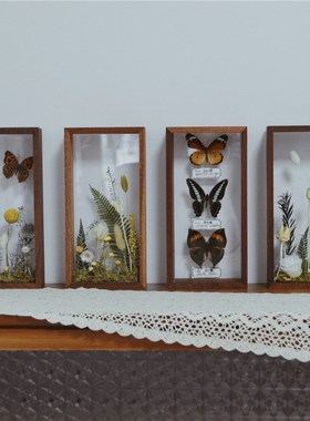 植物蝴蝶标本装饰画微景观双面透明框永生花家居桌面摆件创意礼物
