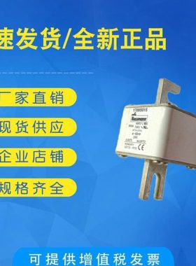 全新现货170M3062 170M3063 170M3064 170M3065巴斯曼熔断器