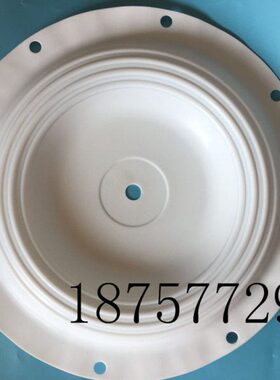 龙膜4进口气动隔膜泵膜特氟60片3-进口028片98PTFES寸-6胜佰德30