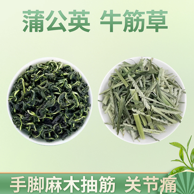 牛筋草蒲公英中药材正品官方旗舰店新鲜牛根草泡水喝的功效与作用