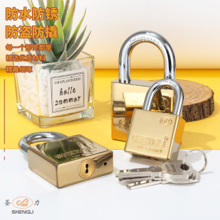 圣力四方内雕铜芯挂锁电镀钛金大门防水锁链条锁防雨防盗防撬挂锁