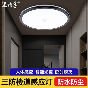 温特孚led人体感应灯公共楼梯楼道智能感应灯酒店走廊过道车库灯