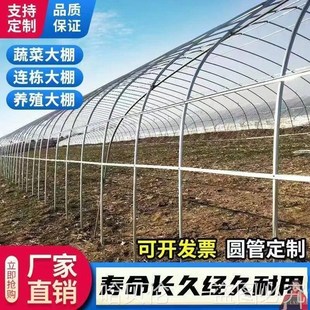 大棚钢管骨架全套养殖大棚全套养鸡大棚骨架配件大全蔬菜大棚全套