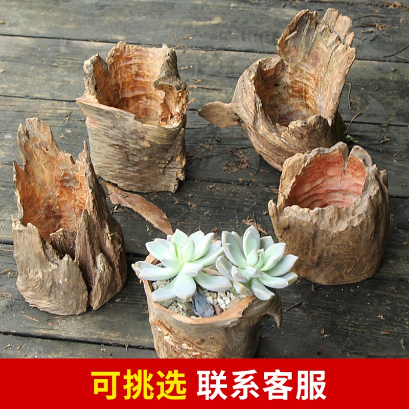 创意多肉枯木造景花盆 老桩实木天然树根防腐小花盆 空气凤梨花盆