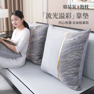 床头靠垫靠枕抱枕套不含芯 骆易家轻奢高级感抱枕沙发客厅2025新款