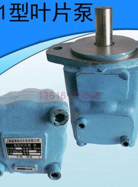 0, Y,,-齿轮泵8E  -E16EBB6 Y叶片泵B25E0E403--E3210E,E5 Y0,YB