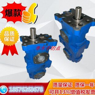 三联31020R50油泵20 BYBY32C 四川6R2C320 F长江F30 20齿轮泵40