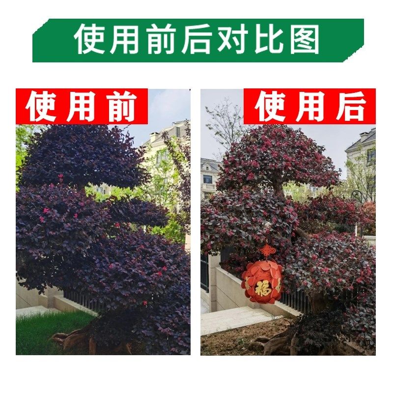 红花继木专用肥红梽木肥料营养液红桎花颗粒肥P红花檵木有机颗粒,鲜花速递/花卉仿真/绿植园艺,家庭园艺肥料,淘宝优惠券,粉丝福利购,淘宝优惠卷