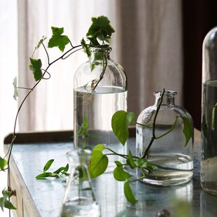 窄插花口装饰摆件透明花器玻璃花瓶高桌面口细口长小款水培颈北欧