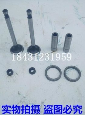 桃源湖南165F风冷柴油机气门四配套 气门组件