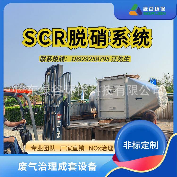 锅炉尾气治理布袋除尘设备Nox治理沼气净化装置scr脱硝