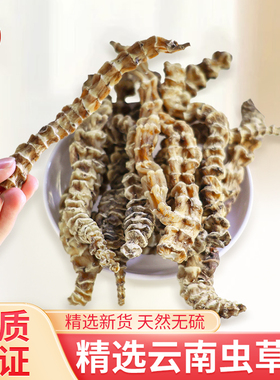 云南顶天柱虫草参干货中药材地参地虫草竹节参泽兰根地龙菜煲汤料