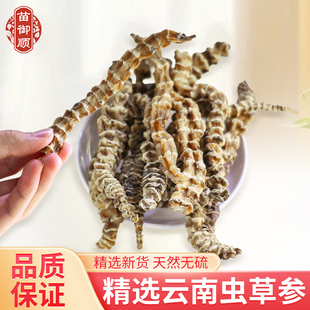 云南顶天柱虫草参干货中药材地参地虫草竹节参泽兰根地龙菜煲汤料