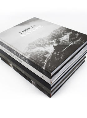 简约黑白灰精装外文组合装饰书摆件现代样板房书柜英文书陈设家具