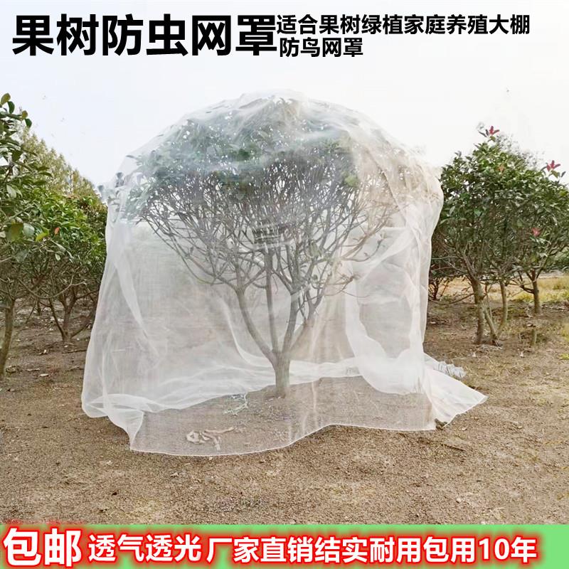 果树防虫网大棚杨梅网罩樱桃防鸟网多肉绿植莲雾农用防虫网养殖厂