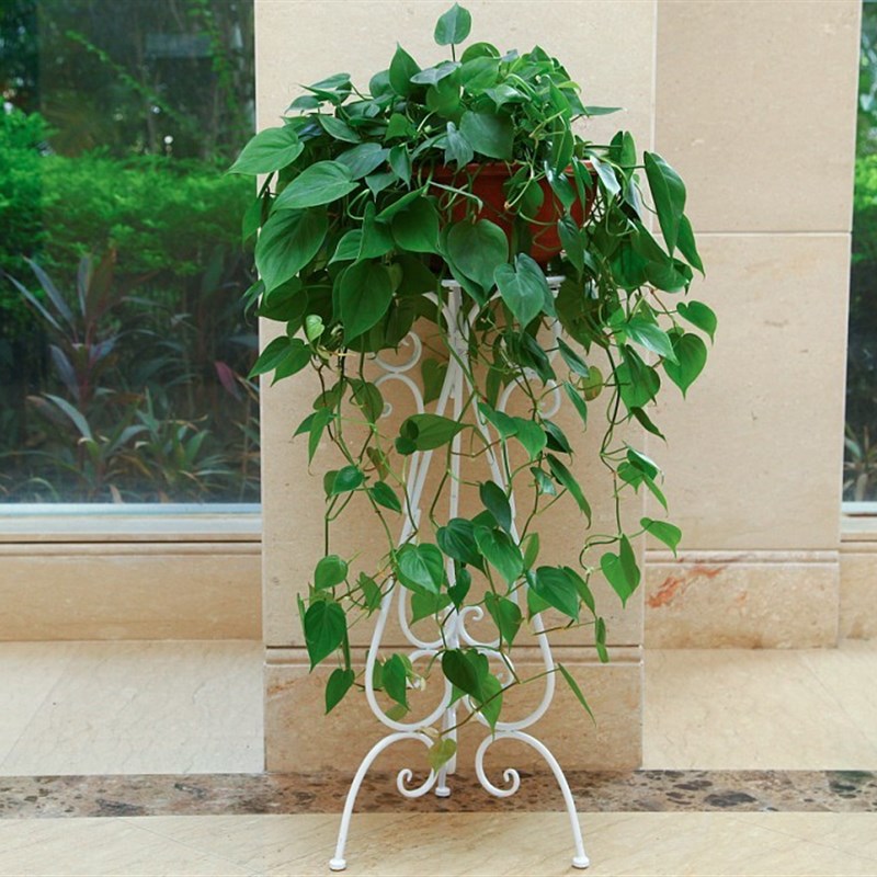欧式铁艺花架客厅落地式绿萝吊兰室内花架子盆景单层田园花盆架子