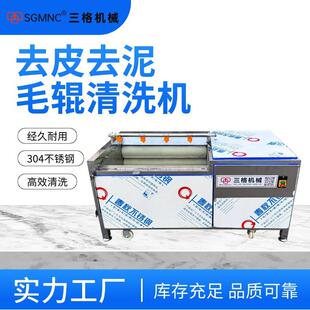 毛辊清洗机土豆芋头去皮清洗机马蹄仔姜生蚝商用毛刷辊清洗去皮机