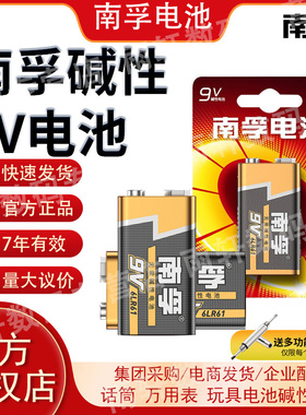 南孚电池正品 9v碱性电池2粒 方形方块 万用表通用型 1604s体温枪 九伏6LR61 红外线测温仪专用仪器遥控器