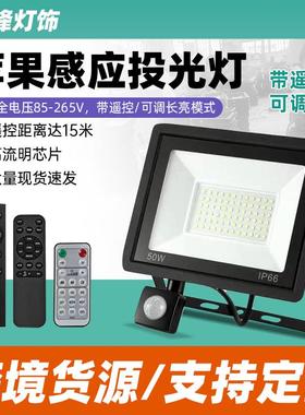 新款led遥控感应投光灯户外防水楼道照明调光亮度定时pir感应泛光