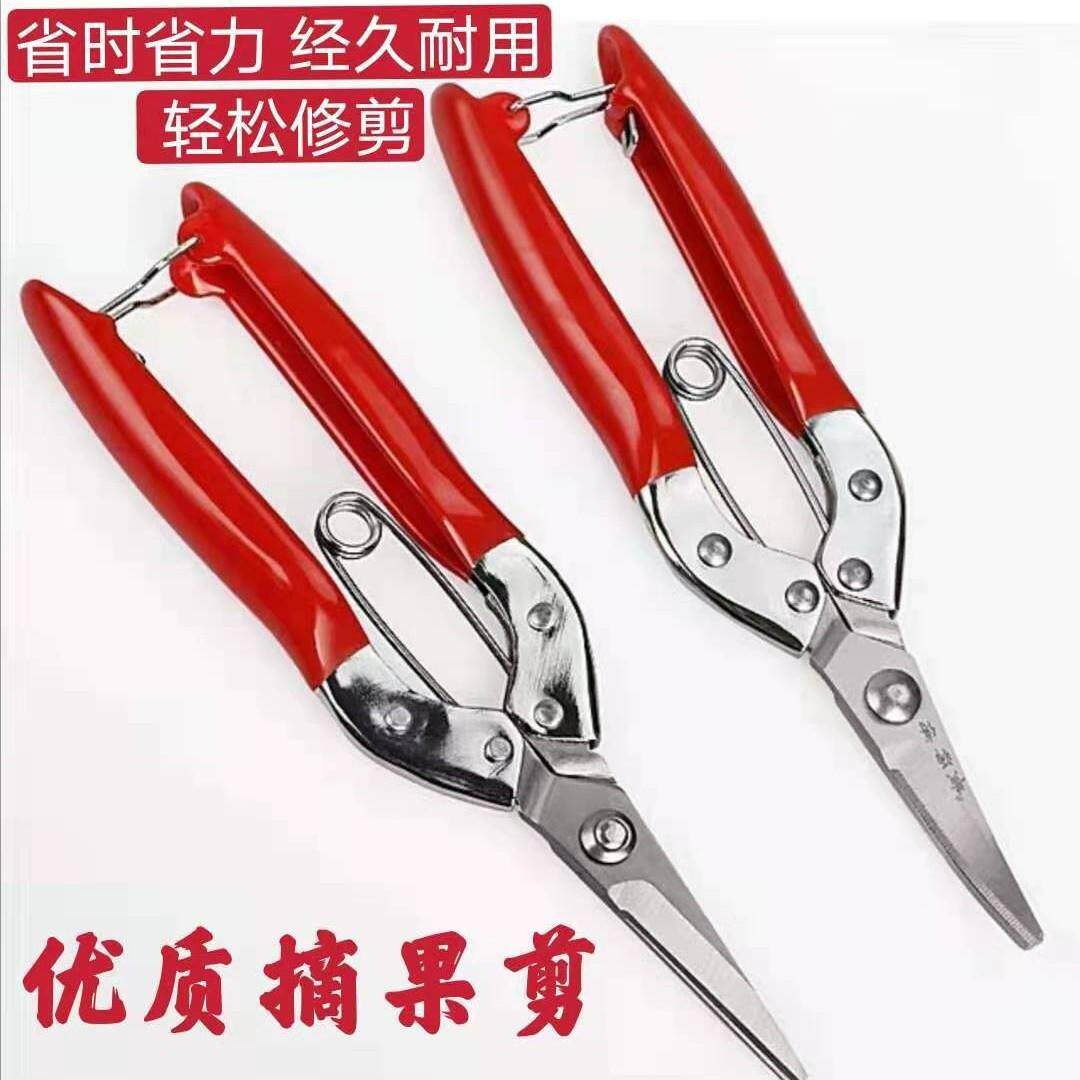 不锈钢摘果剪翘头水果剪刀果枝剪稀果剪园艺剪修枝剪果树剪修花剪